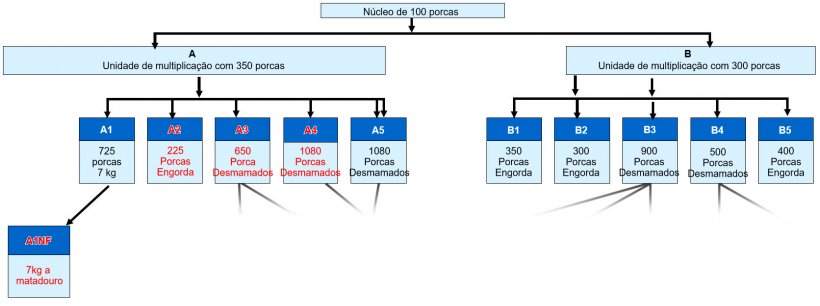 Figura 1. Estrutura da empresa – todos os sítios a encarnado tiveram DE clínica em 2015/6.