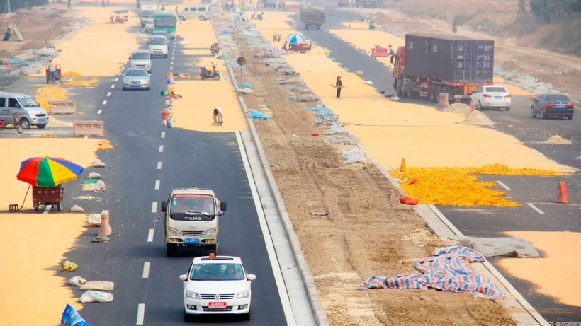 Imagem 1. Agricultores chineses a secar milho no asfalto quente. Fonte : Chén fēi/CFP, News163